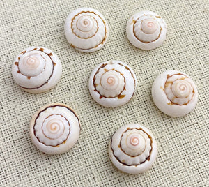 Shell Beads SKU#M2008