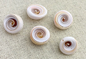 Shell Beads SKU#M2008