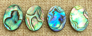 Abalone Oval Charm