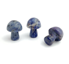 Lapis Lazuli Mushrooms