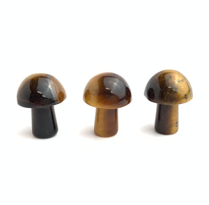 Tiger’s Eye Mushrooms