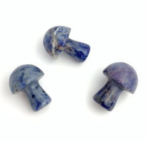 Lapis Lazuli Mushrooms