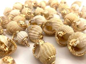 Mother Of Pearl Seashells, Sku#M669