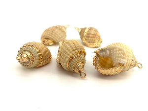 Mother Of Pearl Seashells, Sku#M669