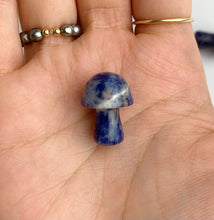 Lapis Lazuli Mushrooms