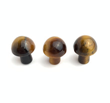 Tiger’s Eye Mushrooms