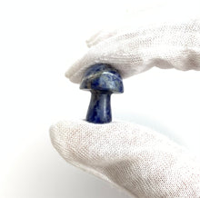 Lapis Lazuli Mushrooms