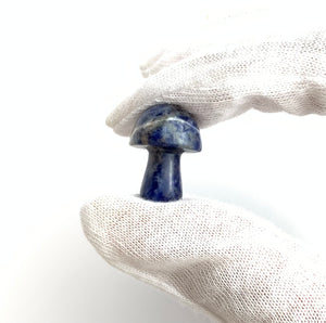 Lapis Lazuli Mushrooms