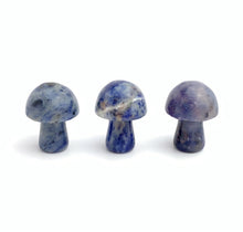 Lapis Lazuli Mushrooms