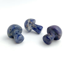 Lapis Lazuli Mushrooms