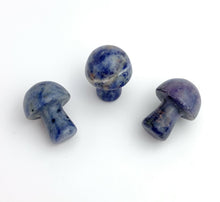 Lapis Lazuli Mushrooms