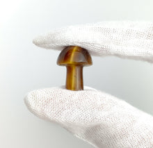 Tiger’s Eye Mushrooms