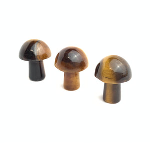 Tiger’s Eye Mushrooms