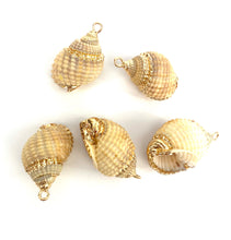 Mother Of Pearl Seashells, Sku#M669